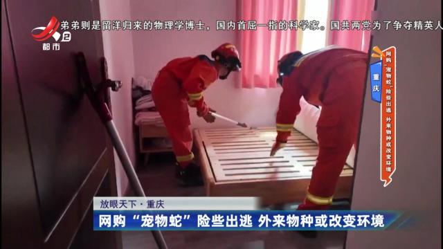 重庆：网购“宠物蛇”险些出逃 外来物种或改变环境