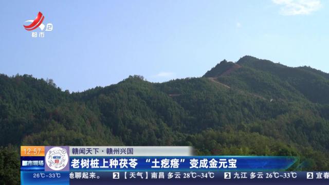都市现场·午间版20250728