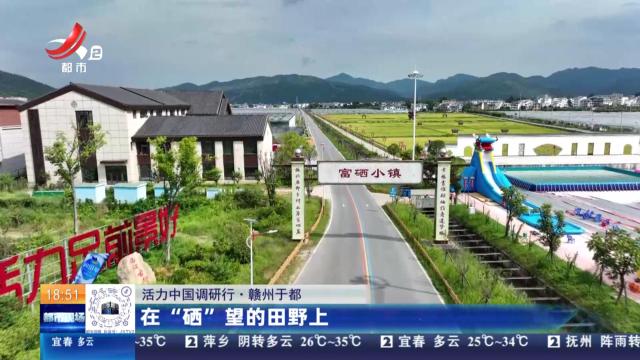 都市现场20250713