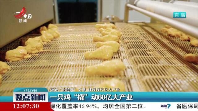 【做好“土特产”文章 建设现代化大产业】一只鸡“撬”动60亿大产业