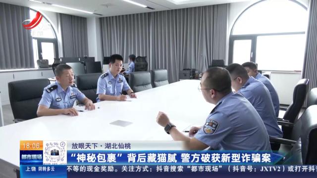 【放眼天下】湖北仙桃：“神秘包裹”背后藏猫腻 警方破获新型诈骗案