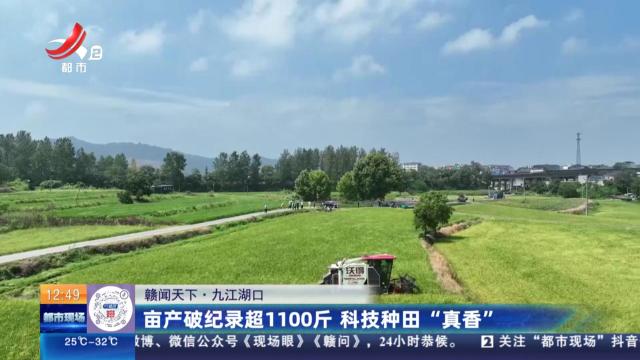 都市现场·午间版20250713