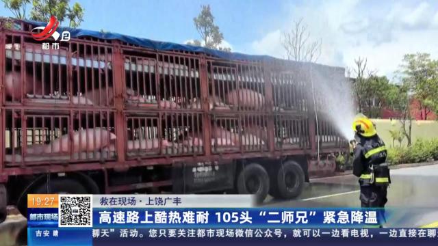 【救在现场】上饶广丰：高速路上酷热难耐 105头“二师兄”紧急降温