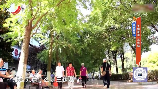 健康提醒：冬病夏治 三伏贴