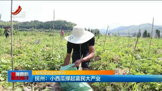 【科技赋能乡村振兴】抚州：小西瓜撑起富民大产业