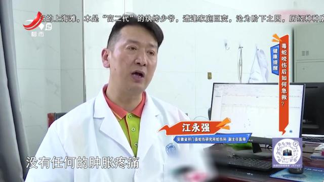 健康提醒：毒蛇咬伤后如何急救？