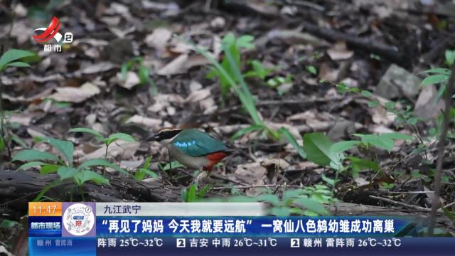 都市现场·午间版20250727
