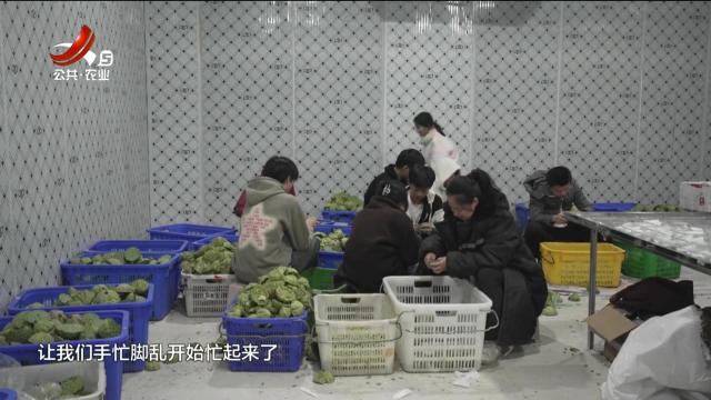 新闻晚高峰20250721