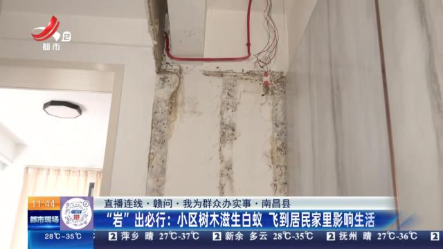 都市现场·午间版20250702