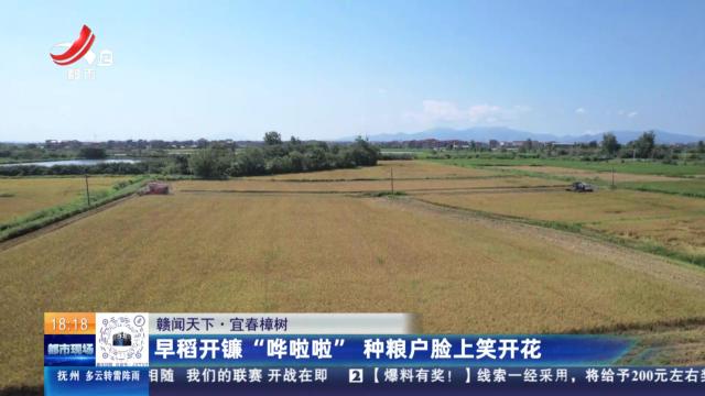 【赣闻天下】宜春樟树：早稻开镰“哗啦啦” 种植户脸上笑开花