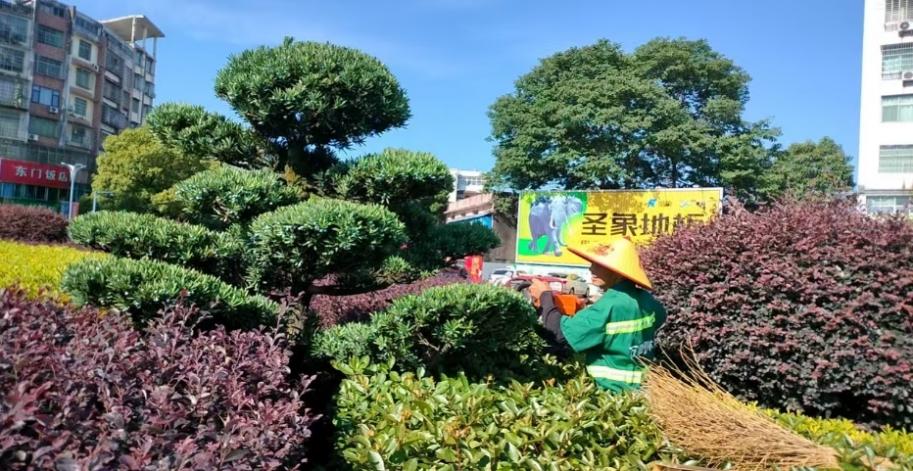 江西万载：绿化养护不松懈 多措并举护绿荫