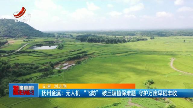 抚州金溪：无人机“飞防”破丘陵植保难题 守护万亩早稻丰收