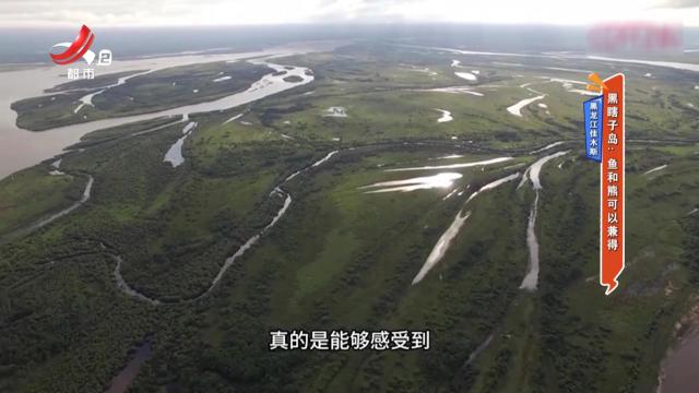 黑龙江佳木斯——黑瞎子岛：鱼和熊可以兼得
