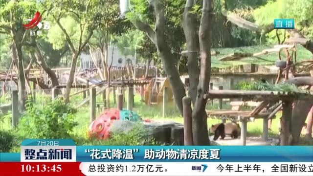 “花式降温”助动物清凉度夏