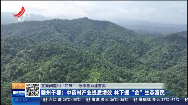 【直面问题纠“四风” 敢作善为抓落实】赣州于都：中药材产业提质增效 林下掘“金”生态富民