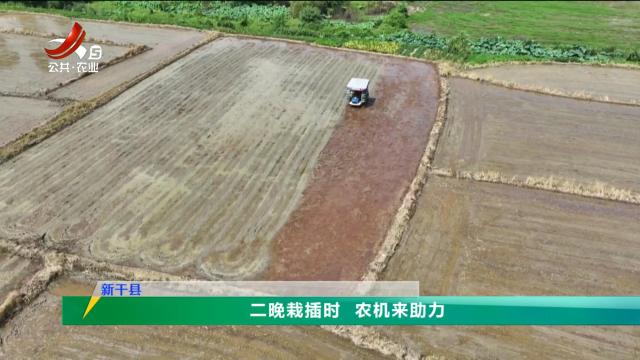 三农头条20250724