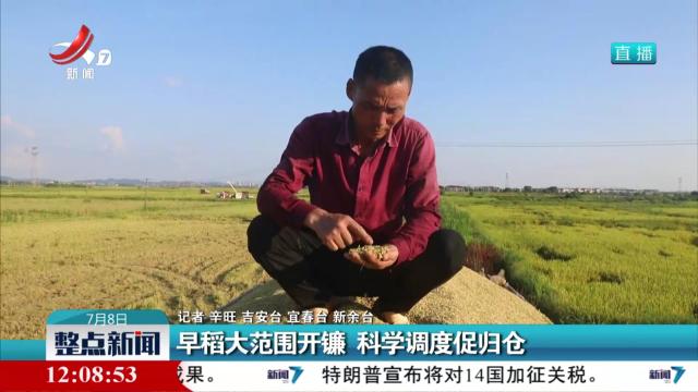 早稻大范围开镰 科学调度促归仓