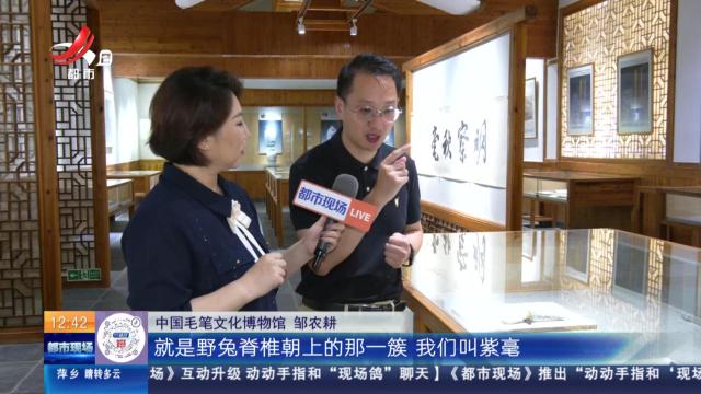 【家有收藏·“私”博寻宝·中国毛笔文化博物馆】难得一见的“御笔”
