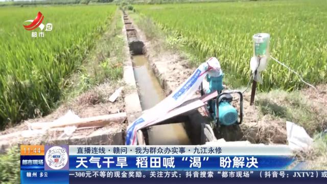 【直播连线·赣问·我为群众办实事】九江永修：天气干旱 稻田喊“渴”盼解决