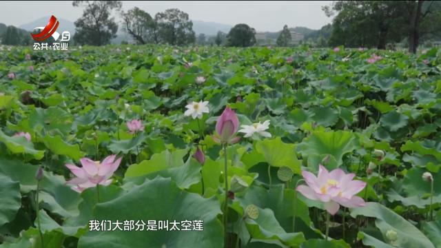 五哥帮忙团20250807