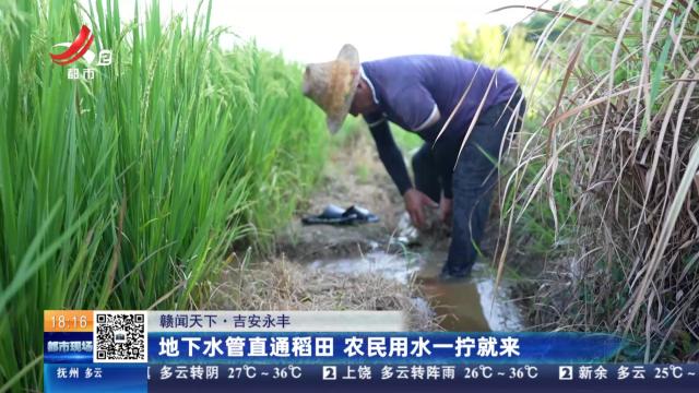 【赣闻天下】吉安永丰：地下水管直通稻田 农民用水一拧就来