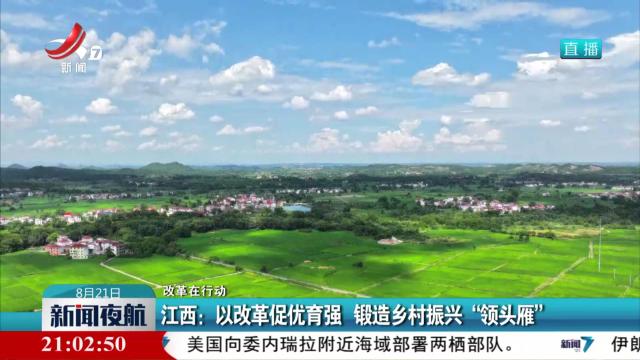 【改革在行动】江西：以改革促优育强 锻造乡村振兴“领头雁”