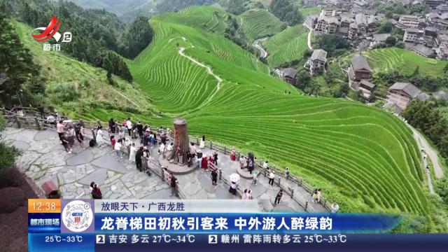 【放眼天下】广西龙胜：龙脊梯田初秋引客来 中外游人醉绿韵