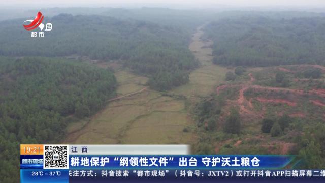 江西：耕地保护“纲领性文件”出台 守护沃土粮仓