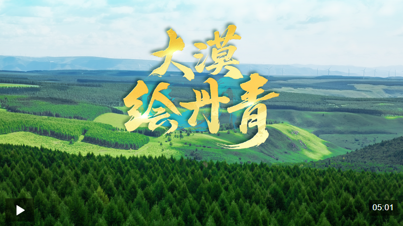 近观“两山”丨大漠绘丹青 