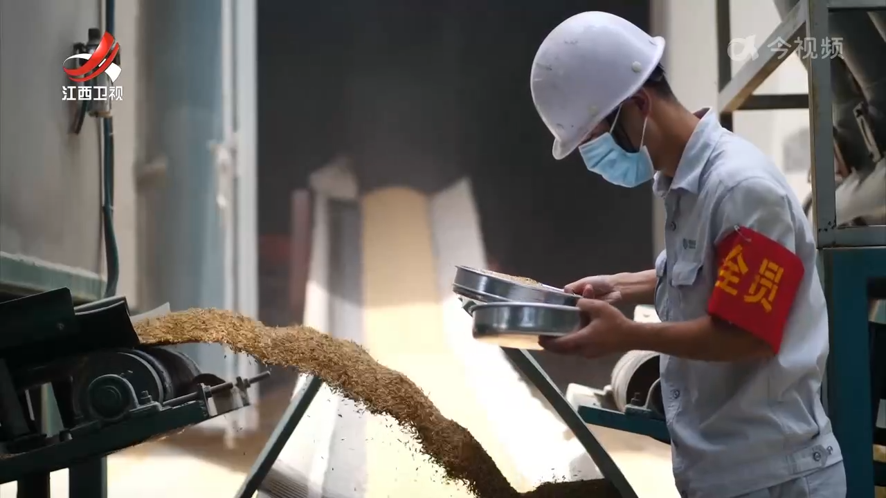 早稻托市范围扩大 价格底部有所抬升