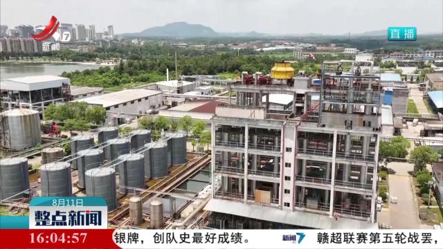 整点新闻20250811 16:00