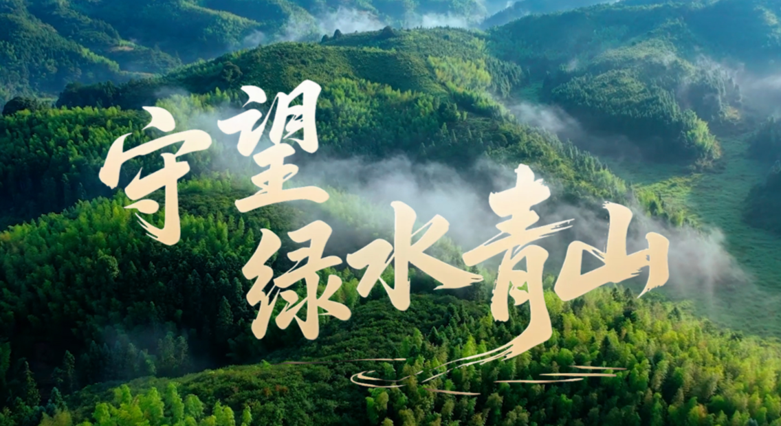 微视频｜守望绿水青山