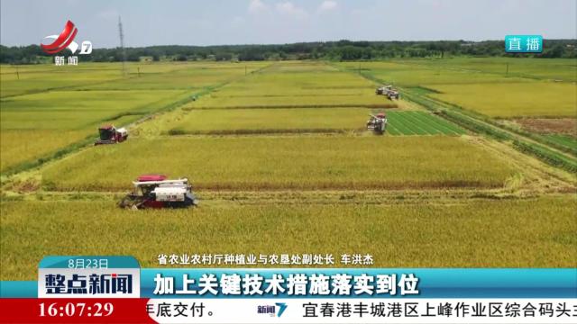 全省早稻实现面积总产单产“三提升”