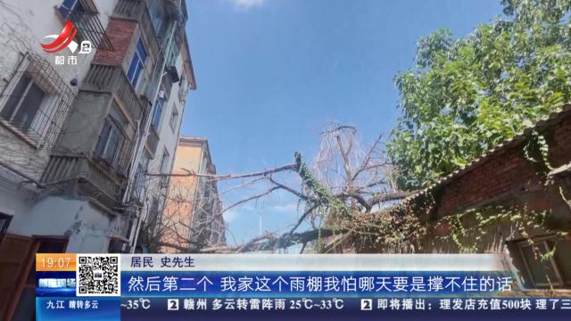 【赣问·民呼我为心连心】南昌青山湖：大树倒在房屋上 过去一年没人管？