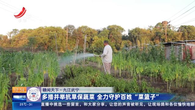 【赣闻天下】九江武宁：多措并举抗旱保蔬菜 全力守护百姓“菜篮子”