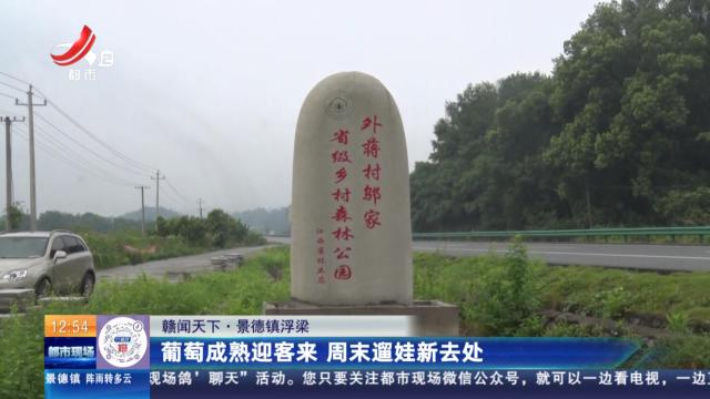 【赣闻天下】景德镇浮梁：葡萄成熟迎客来 周末遛娃新去处