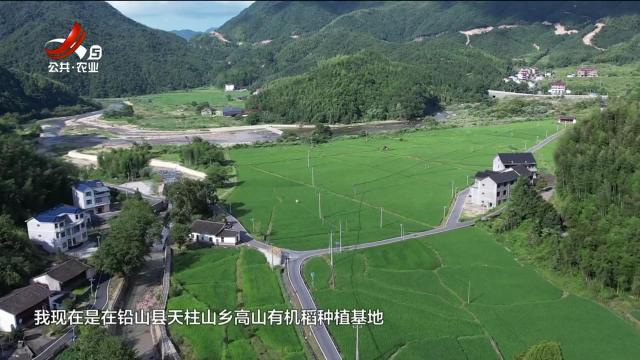 【文化下乡走基层】家住青山绿水间·铅山：守好源头活水 种出生态“金稻”