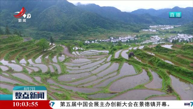 整点新闻20250807 10：00