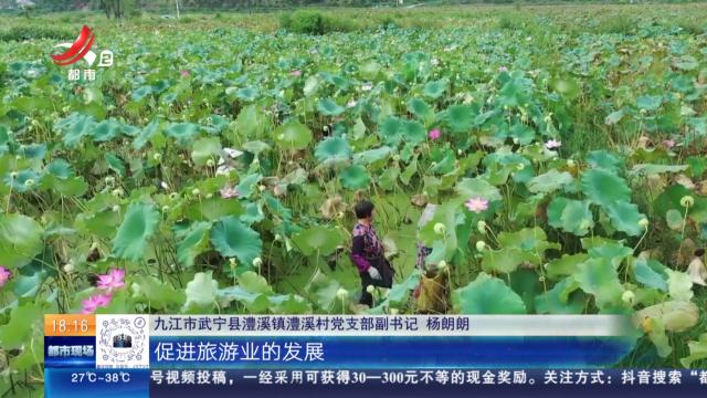 【赣闻天下】九江武宁：莲子喜丰收 “莲”通乡村振兴路