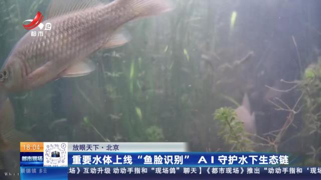 【放眼天下】北京：重要水体上线“鱼脸识别” AI守护水下生态链