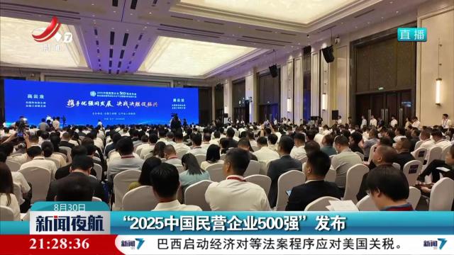 “2025中国民营企业500强”发布