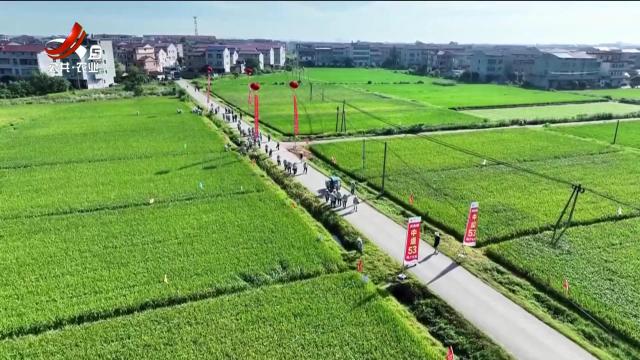 稻花香里20250820 乡村振兴进行时——中组53：一粒超级稻的“科技+产业”双丰收