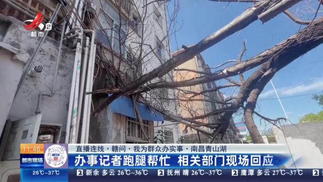 都市现场·午间版20250820
