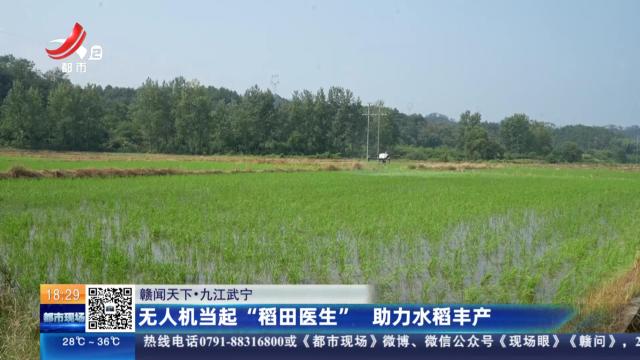【赣闻天下】九江武宁：无人机当起“稻田医生” 助力水稻丰产
