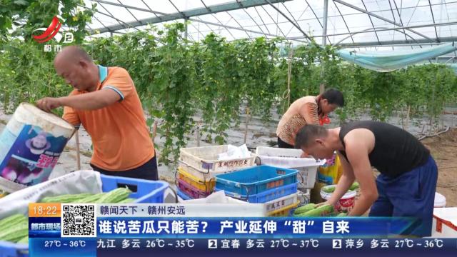 【赣闻天下】赣州安远：谁说苦瓜只能苦？产业延伸“甜”自来