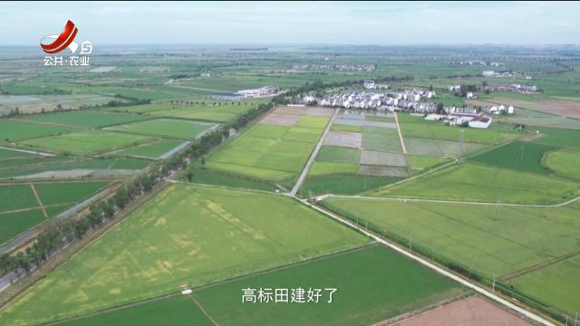 稻花香里20250813 【赣田力量——农田新帮手】江西创新推进高标准农田建管综合保险试点