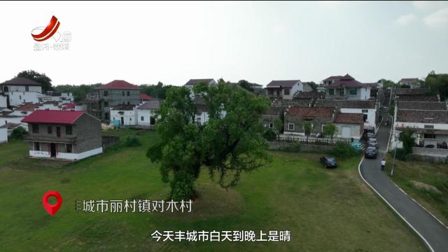美丽江西在行动20250824 丰城市：“村村响”助力“村村安”