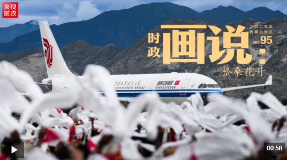 时政画说丨格桑花开 