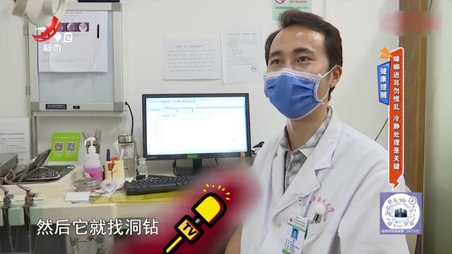 健康提醒：蟑螂进耳勿慌乱 冷静处理是关键
