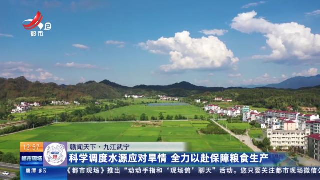 都市现场·午间版20250830